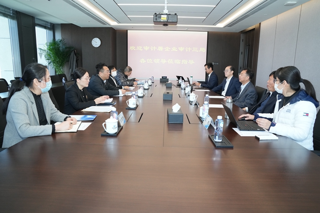 審計(jì)署企業(yè)審計(jì)三局主要負(fù)責(zé)人張京奕一行到訪中國(guó)有研