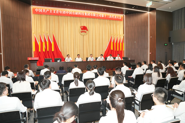 共青團(tuán)中國有研科技集團(tuán)有限公司第十三次代表大會(huì)勝利召開