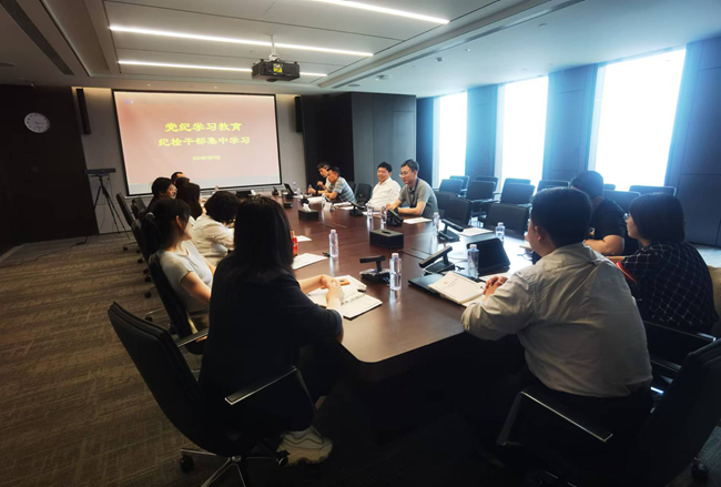 中國有研紀(jì)檢干部開展黨紀(jì)學(xué)習(xí)教育集中學(xué)習(xí)