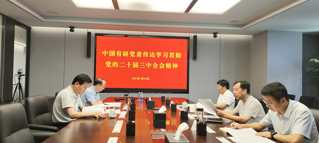 中國有研黨委傳達(dá)學(xué)習(xí)黨的二十屆三中全會精神