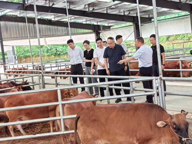 中國有研黨委委員、紀(jì)委書記唐學(xué)智赴思南縣調(diào)研定點(diǎn)幫扶工作并接送掛職干部